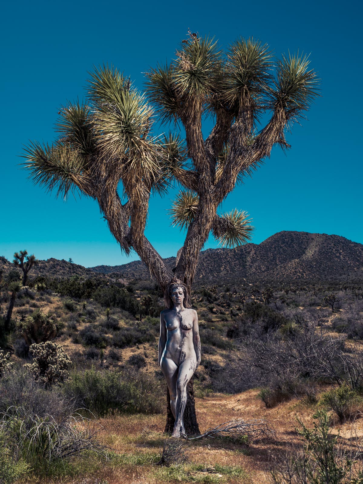 "Carnal" from Fertile Desert by Eric Schwabel