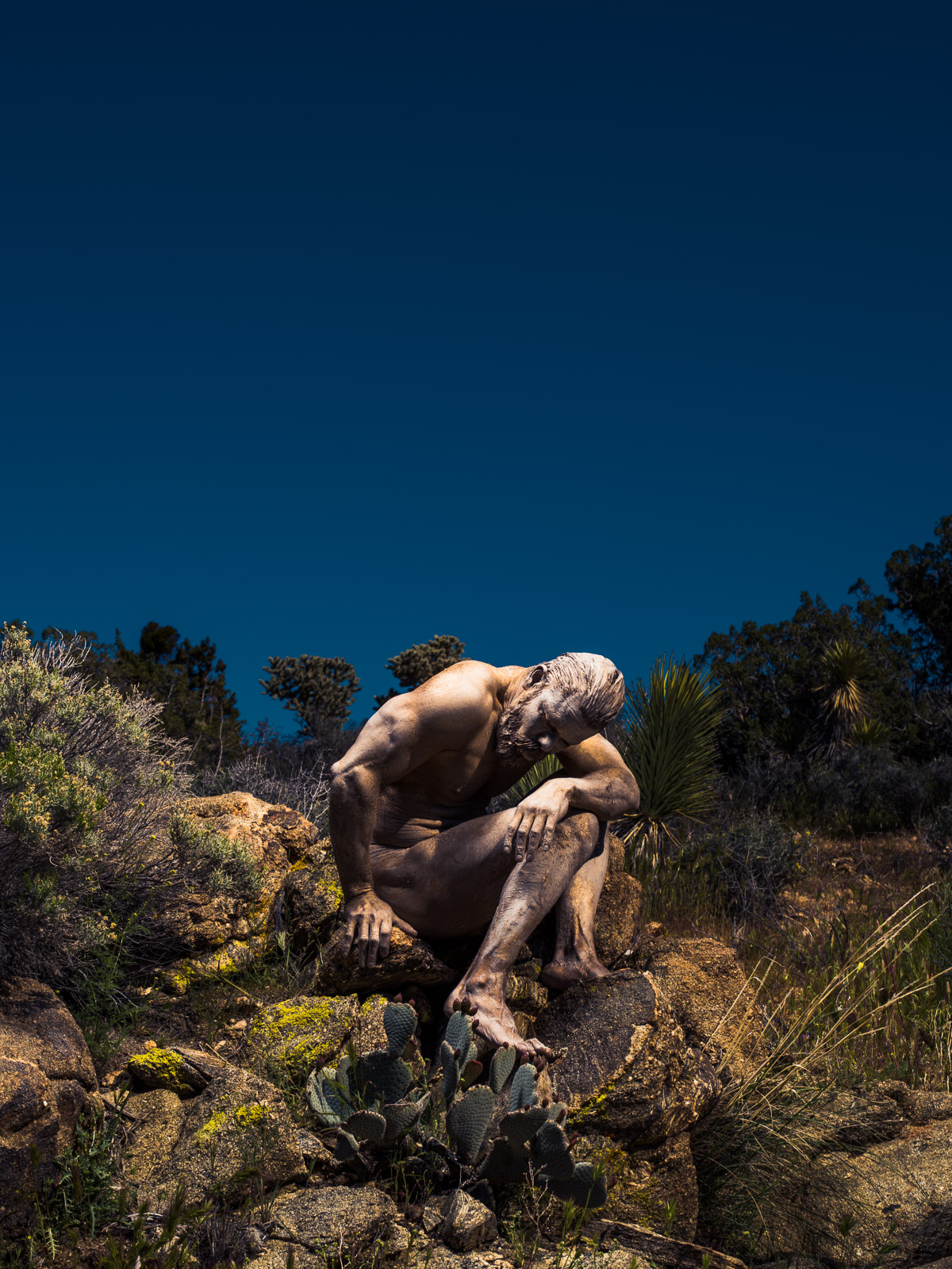 "Restore" from Fertile Desert by Eric Schwabel